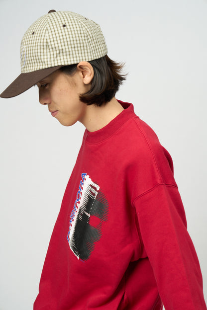 Thermocam Crewneck Sweatshirt (Red)