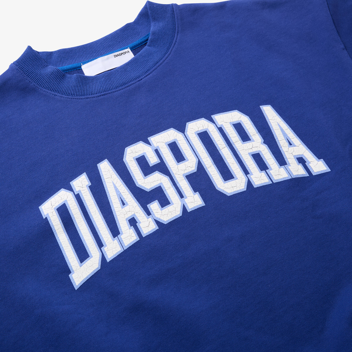 College Logo Crewneck Sweatshirt (Navy)