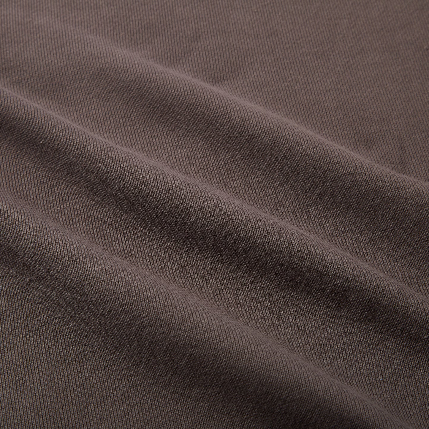 Buds Crewneck Sweatshirt (Charcoal)